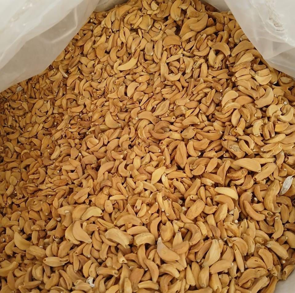 Export packaging