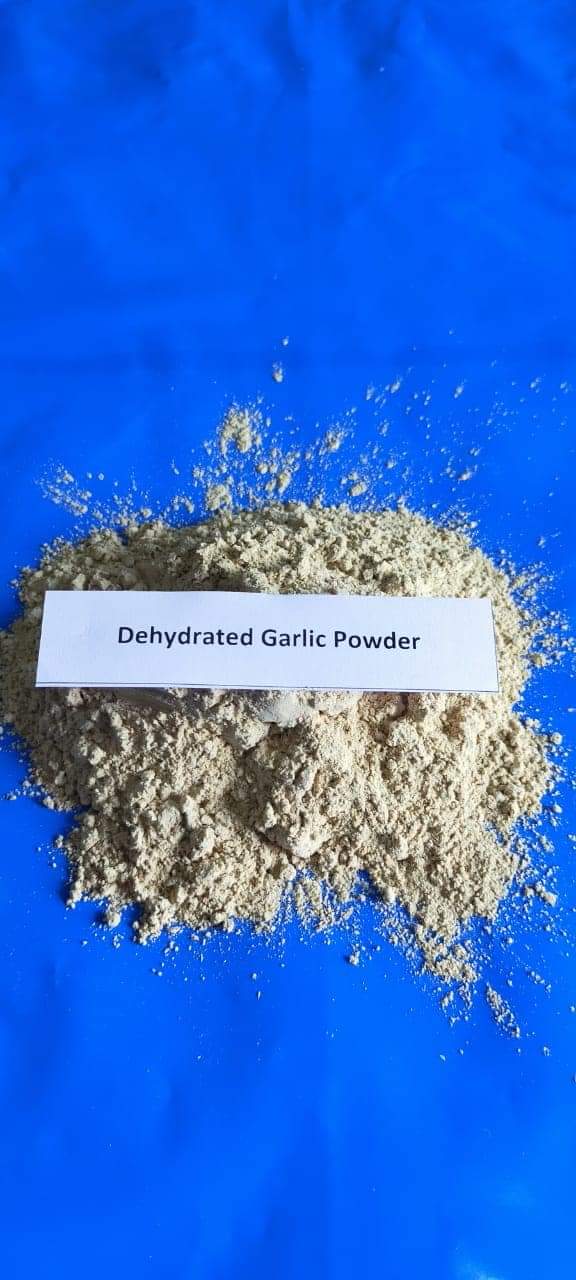 Dehydrated garlic powder