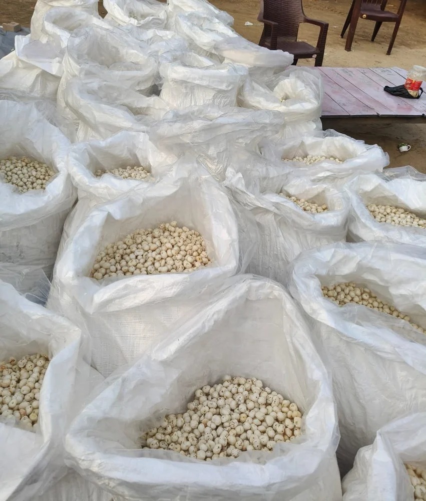 Bulk packing