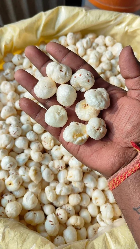 Large size makhana