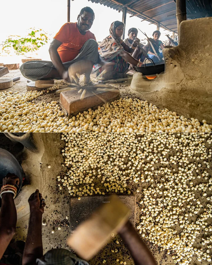 Makhana popping/expansion