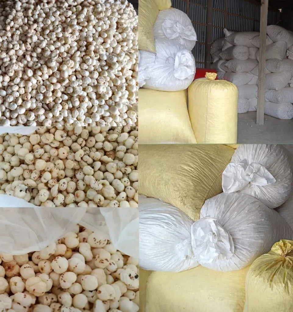 Product collage