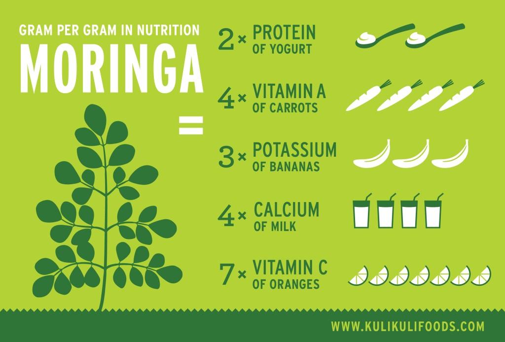 Moringa plantation — India is the world's largest moringa producer supplying 80% of global volume